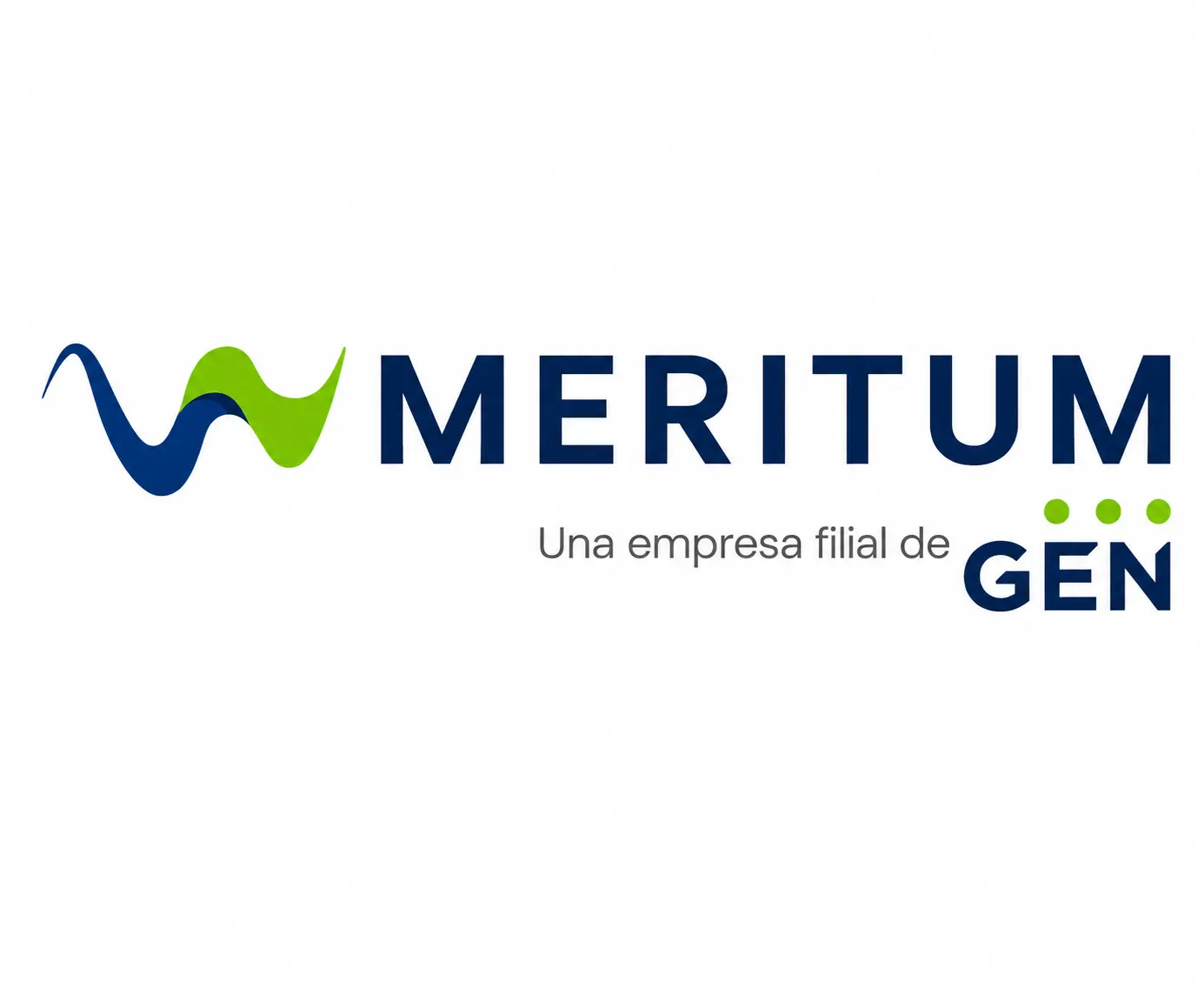 Logo Meritum
